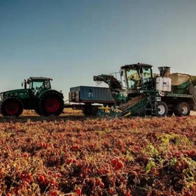 意大利MTS THR自走式番茄采收機